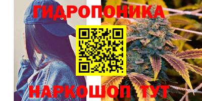 бошки Новоалтайск